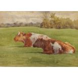 Charles James Adams (1859-1931)
Watercolour
Cows resting in a field, unframed, 12.