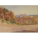 Charles James Adams (1859-1931)
Watercolour
Woodland scene with ploughed field, unframed,