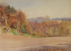 Charles James Adams (1859-1931)
Watercolour
Woodland scene with ploughed field, unframed,