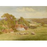 Charles James Adams (1859-1931)
Watercolour
Cottage, woodland with sheep grazing, signed, unframed,