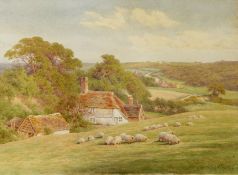 Charles James Adams (1859-1931)
Watercolour
Cottage, woodland with sheep grazing, signed, unframed,