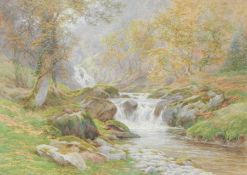 Charles James Adams (1859-1931)
Watercolour
Woodland scene with waterfall to foreground and roaring