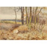 Charles James Adams (1859-1931)
Watercolour
Autumnal woodland scene with river, unframed, 12.