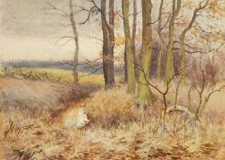 Charles James Adams (1859-1931)
Watercolour
Autumnal woodland scene with river, unframed, 12.