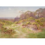 Charles James Adams (1859-1931)
Watercolour
Gorse on hilly ground with trees in background, signed,