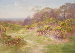 Charles James Adams (1859-1931)
Watercolour
Gorse on hilly ground with trees in background, signed,