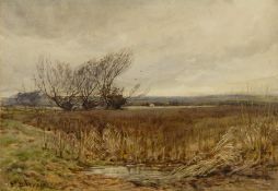 P Davey 
Watercolour
Marshland scene, signed indistinctly, unframed and dated 1885, 29.5cm x 27.