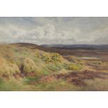 Charles James Adams (1859-1931)
Watercolour 
Moorland scene with gorse in foreground,