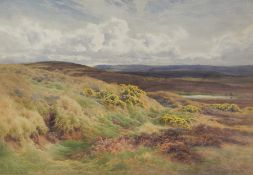 Charles James Adams (1859-1931)
Watercolour 
Moorland scene with gorse in foreground,