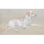 Jean Parry Williams 
Pastel drawing 
"Jeth", a Labrador lying down,