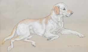 Jean Parry Williams 
Pastel drawing 
"Jeth", a Labrador lying down,