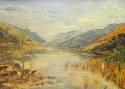 20th century English school Oil on board Lakeland landscape,