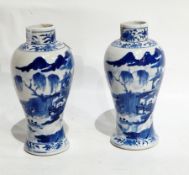 A pair of Chinese vases,