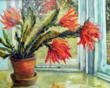 D T A Martin (Contemporary) Oil on canvas Still life study of a flowering cactus in a terracotta