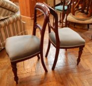 A pair of Victorian mahogany balloon back dining chairs, with scroll carved splats,