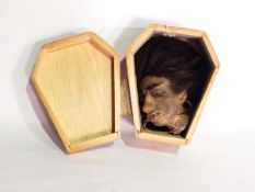 An imitation shrunken head in a cork coffin-shaped box .