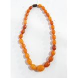 An amber bead necklace of graduated oval beads,