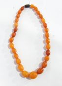 An amber bead necklace of graduated oval beads,