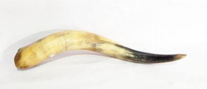 Two pairs of cattle horns,