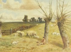 Walter Loyd Watercolour drawing Boy with basket, seated beneath tree in field of sheep,