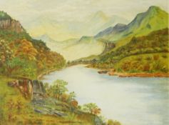 A E Gardner (contemporary) Oil on board Lakeland scene, signed and dated 1-65,