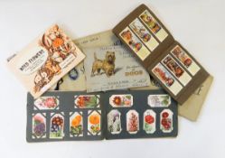 A large quantity of card albums of cigarette cards,