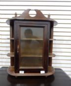 A modern mahogany collectors display cabinet