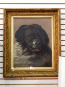 S E Hunt (19th century school) Pair oils on canvas Portrait of dog and donkey,
