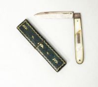 Victorian silver fruit knife with mother-of-pearl handle and inset metal plaque, Sheffield 1897,