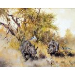 Robin Peterson Oil on canvas "Rhinos in the Bush", signed and dated 1992,