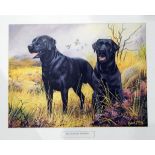 Decorative prints including labradors (1 box)