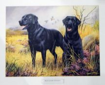 Decorative prints including labradors (1 box)