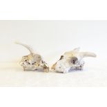 Two sheep or ram's skulls and sundry animal bones