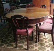 A set of six Victorian mahogany balloon back dining chairs and one carver with pink floral cushions,