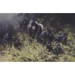 David Shepherd Print "The Mountain Gorillas of Rwanda",
