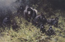 David Shepherd Print "The Mountain Gorillas of Rwanda",