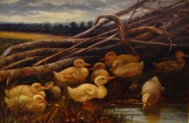 Samuel John Carter (1835-1892) Oil on canvas Ducklings at the water's edge,