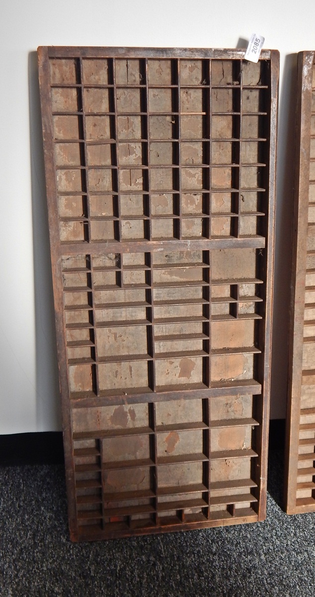 A set of wooden specimen shelves