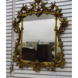 A rococo style gilt carved mirror with floral and scroll engraving,