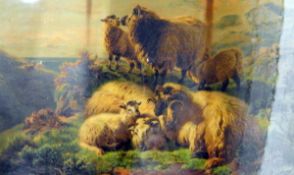 After W Watson 19th century coloured print Sheep on highlands,