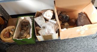 A quantity of pieces of rock, fossils, crystals,