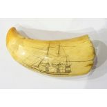 Scrimshaw engraved with sailing yacht, whale and smaller boat,