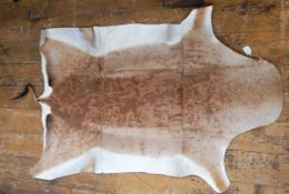 Small antelope/deer hide, with tail,