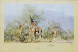 After David Shepherd Limited edition colour print "High and Mighty", signed in pencil, 466/850,