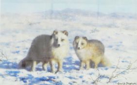 After David Shepherd Limited edition colour print "Arctic Foxes", signed in pencil, 1331/1500,