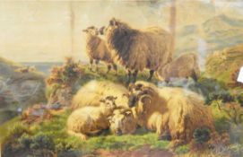 After W Watson 19th century coloured print Sheep on highlands,