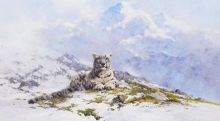 After David Shepherd Limited edition colour print "Snow Leopard", signed in pencil, 398/950,