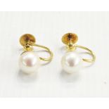 Pair of cultured pearl earrings with gold-coloured screw fittings