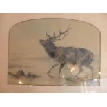 A charcoal study of a stag drawn from a copy by A. H. Fandon 1896, framed, details to verso