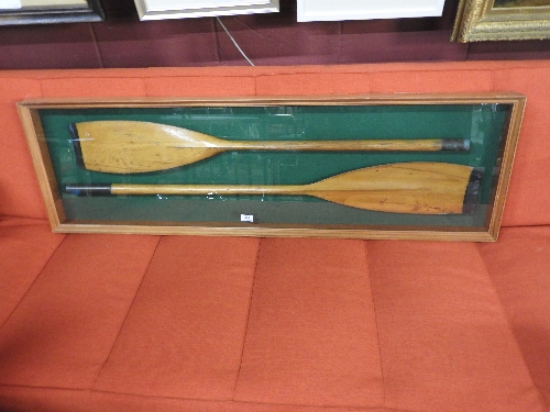 A pair of antique oars in glass display case. 144 x 44cm